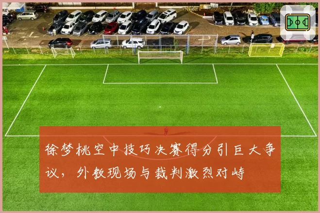 徐梦桃空中技巧决赛得分引巨大争议，外教现场与裁判激烈对峙